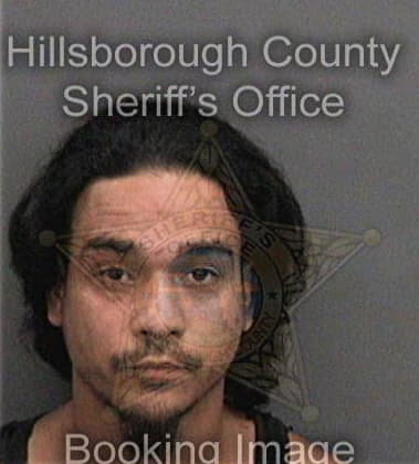 Larry Rippy, - Hillsborough County, FL 