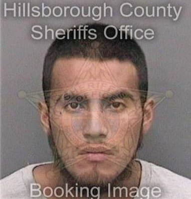 Alferdo Sanchez, - Hillsborough County, FL 