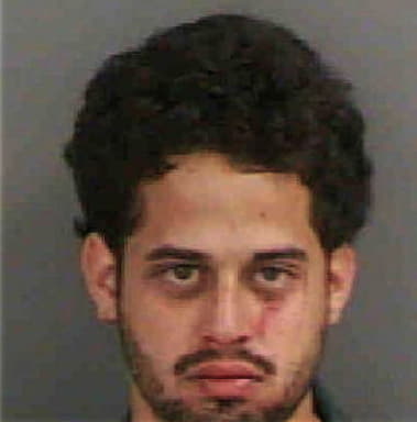 Guillermo Sanchezdelgado, - Collier County, FL 