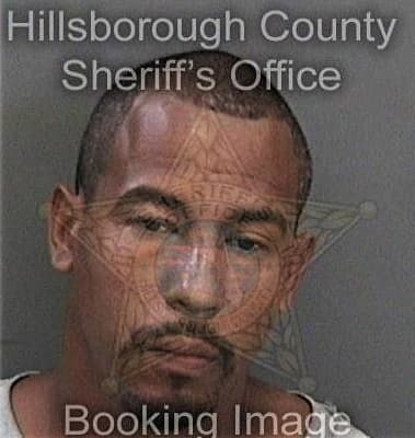 Wuitman Santizogonzalez, - Hillsborough County, FL 