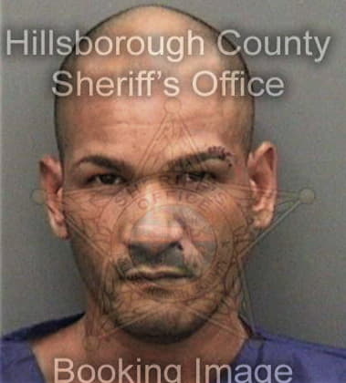 Lotfi Shalabi, - Hillsborough County, FL 