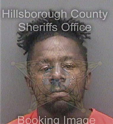 Deterrio Young, - Hillsborough County, FL 