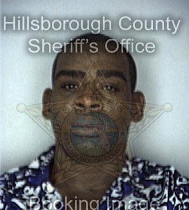 Delroy Adams, - Hillsborough County, FL 