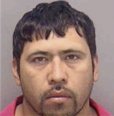 Rogelio Alarcon, - Lee County, FL 