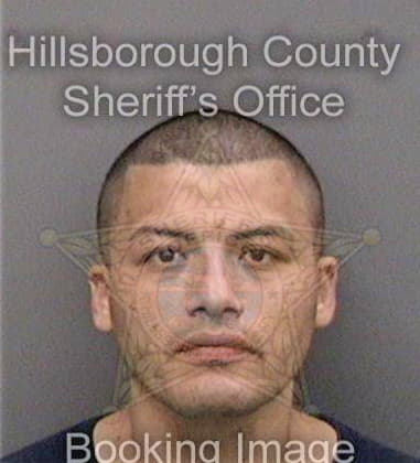 Reinhold Asbeck, - Hillsborough County, FL 