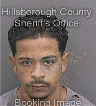 Matthew Carmen, - Hillsborough County, FL 