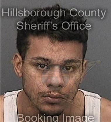 Luis Garcia, - Hillsborough County, FL 