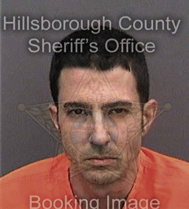 Carlos Garciadominguez, - Hillsborough County, FL 