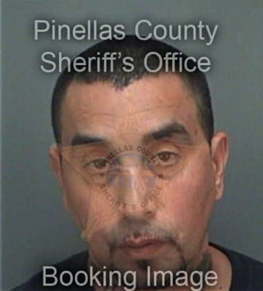 Joshua Owens, - Pinellas County, FL 