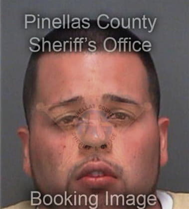 Joshua Peterson, - Pinellas County, FL 