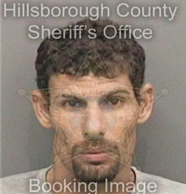 Louis Rainone, - Hillsborough County, FL 