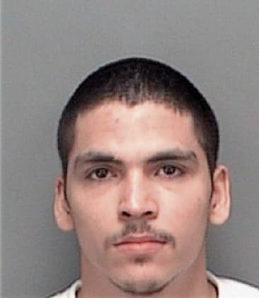 Nestor Angelestrejo, - Pinellas County, FL 