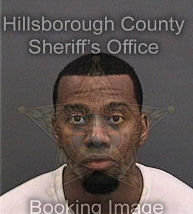 Markevius Henry - Hillsborough County, FL 