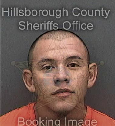 Anthony Maddox, - Hillsborough County, FL 