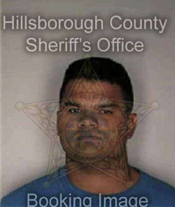 Wilson Velez, - Hillsborough County, FL 