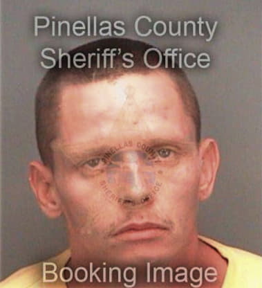 Timothy Flannigan, - Pinellas County, FL 