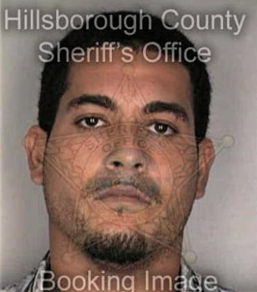 Shaun Jones, - Hillsborough County, FL 