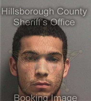 Steven McNamara - Hillsborough County, FL 