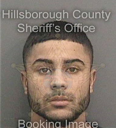 Allon Navarro, - Hillsborough County, FL 