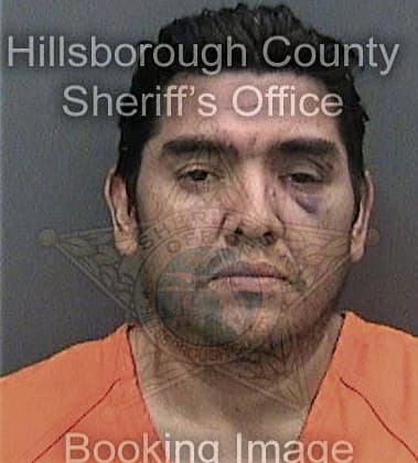 Jose Pabon-Morales, - Hillsborough County, FL 