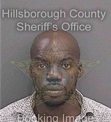 Ivansson Pierrelouis, - Hillsborough County, FL 