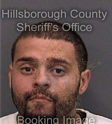 Remingo Regollarchavez, - Hillsborough County, FL 