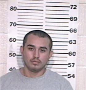 Fernando Villarreal, - Hidalgo County, TX 