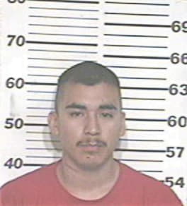 George Amador, - Hidalgo County, TX 