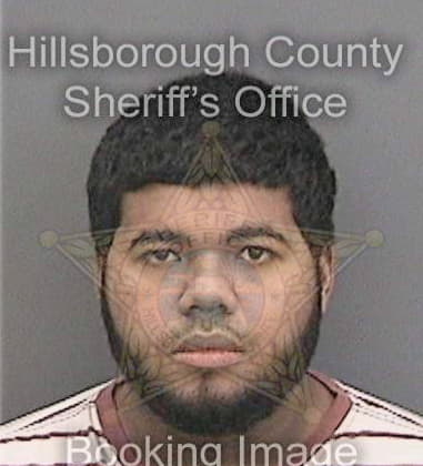 David Elixson, - Hillsborough County, FL 