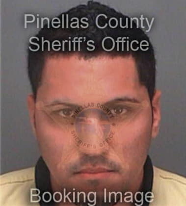 David Garcia, - Pinellas County, FL 