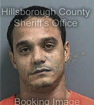 Fredrick Haynes, - Hillsborough County, FL 