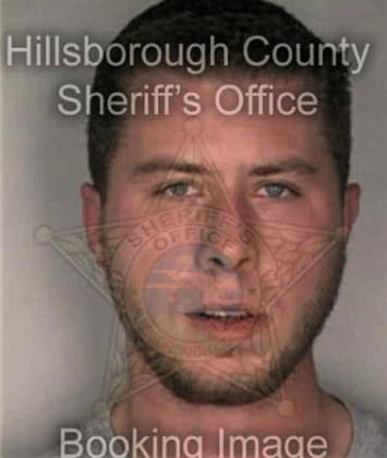 Anthony Sansone, - Hillsborough County, FL 