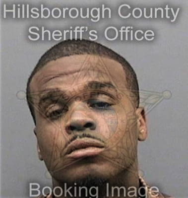 Michael Stewart, - Hillsborough County, FL 