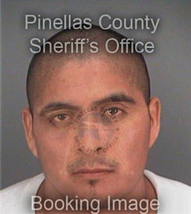 Alexander Ayala, - Pinellas County, FL 