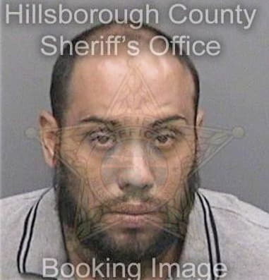 Michael Hamson, - Hillsborough County, FL 