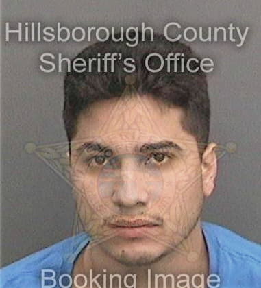 Zachary Lopiccolo, - Hillsborough County, FL 