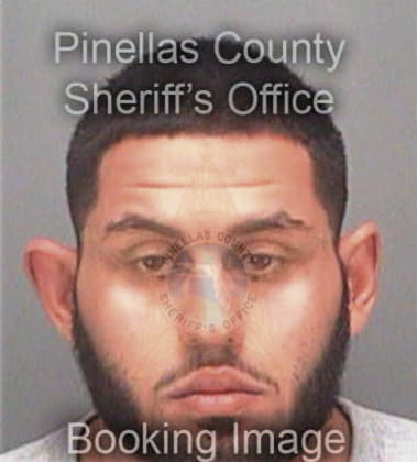 Victor Tianga, - Pinellas County, FL 