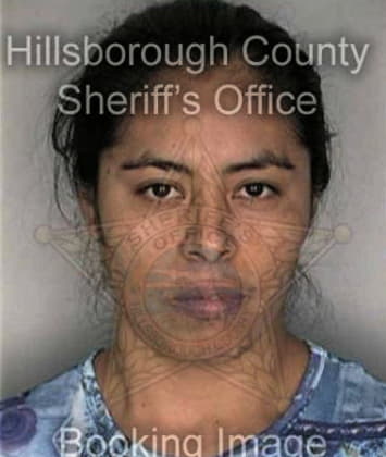 Renata Ahmed, - Hillsborough County, FL 