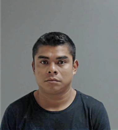 Alejandro-Salinas Alvarado, - Hidalgo County, TX 