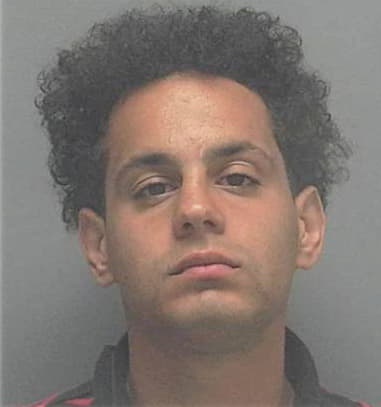 Anthony Amalfi, - Lee County, FL 