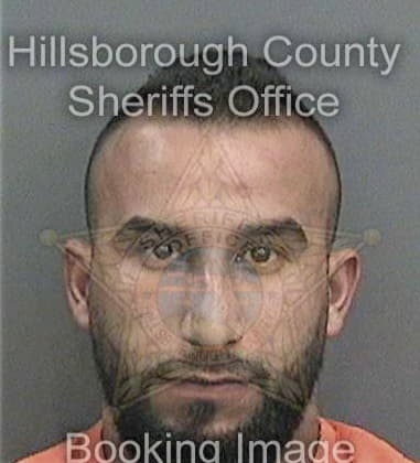 Christian Aragonmejia, - Hillsborough County, FL 