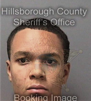Richard Bowman - Hillsborough County, FL 