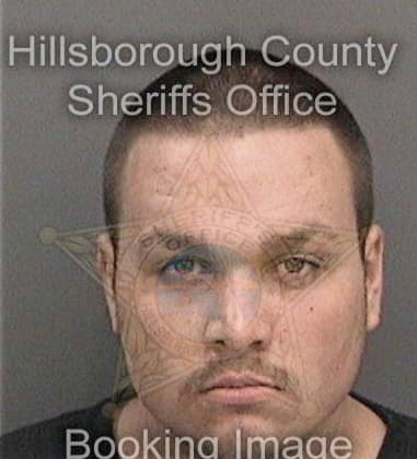 Andrew Capell, - Hillsborough County, FL 