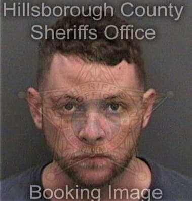 Michael Comins, - Hillsborough County, FL 