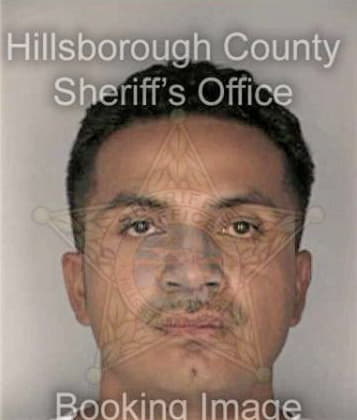 Dominick Demao, - Hillsborough County, FL 