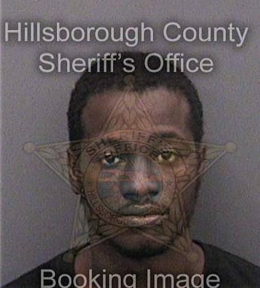 Sean Flowers, - Hillsborough County, FL 