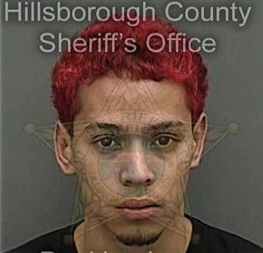 Simon Gomez, - Hillsborough County, FL 