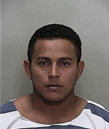 Armin Ruiz, - Marion County, FL 