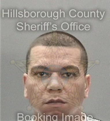 Matthew Davis, - Hillsborough County, FL 