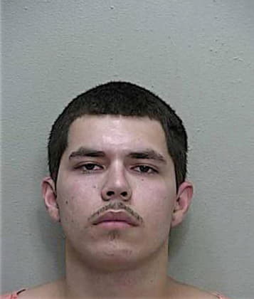 Seth Davis, - Marion County, FL 